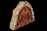 Tall, Arizona Petrified Wood Bookends - Red & Black #111099-1
